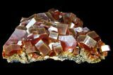 Gorgeous, Red Vanadinite Crystal Cluster - Morocco #127648-1
